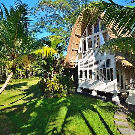 Jendela Di Bali Villa Tegallalang  Pokoj fotografie