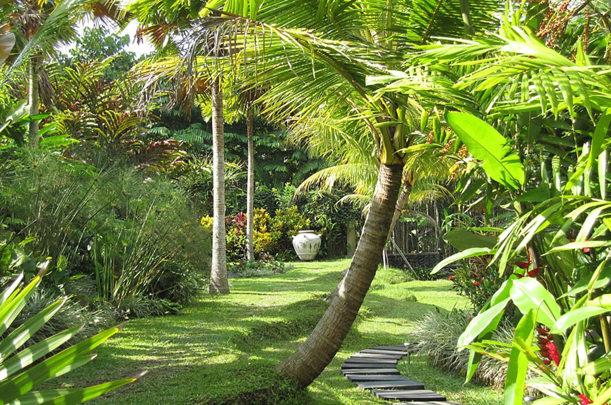 Jendela Di Bali Villa Tegallalang  Exteriér fotografie