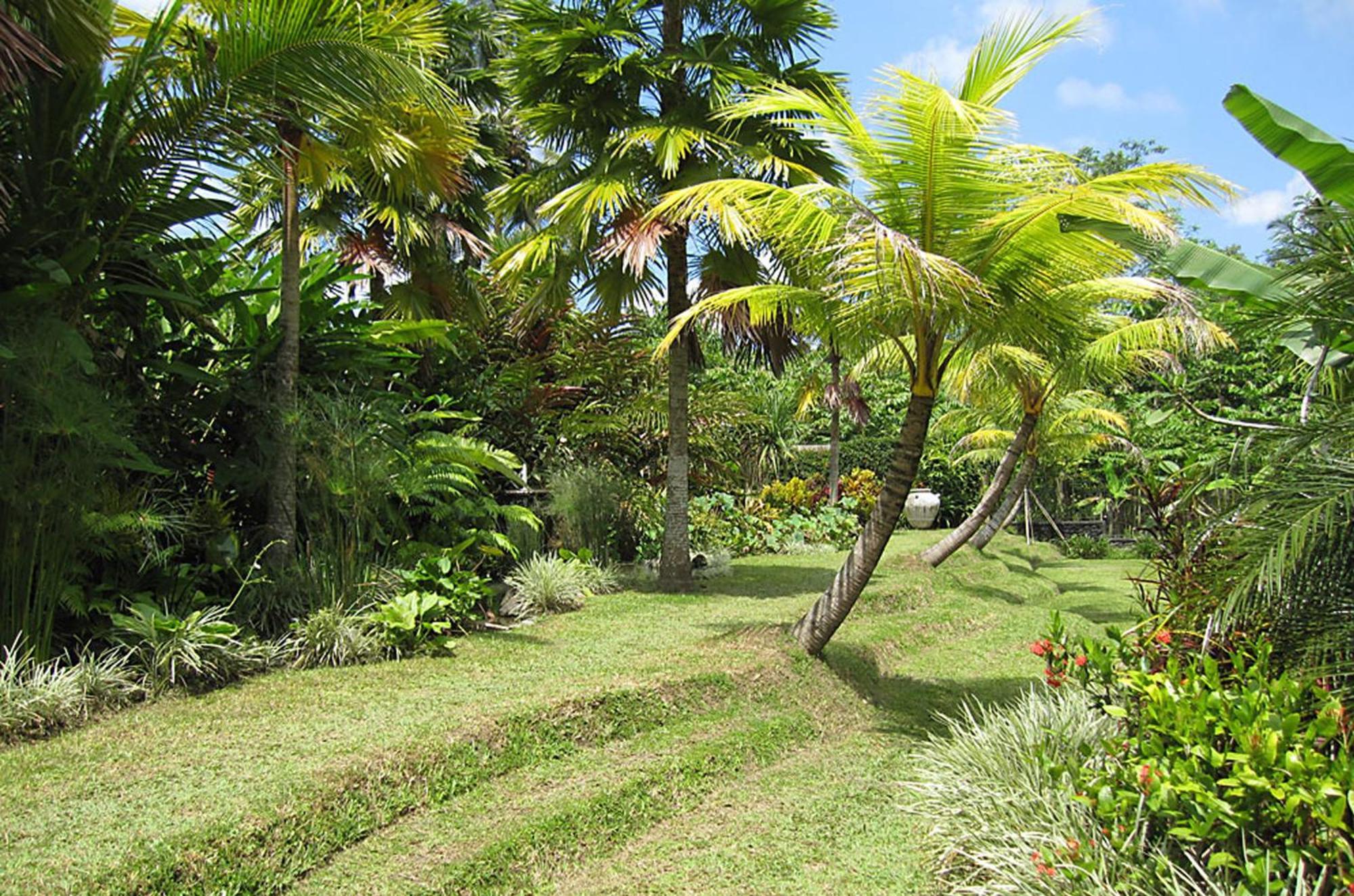 Jendela Di Bali Villa Tegallalang  Exteriér fotografie