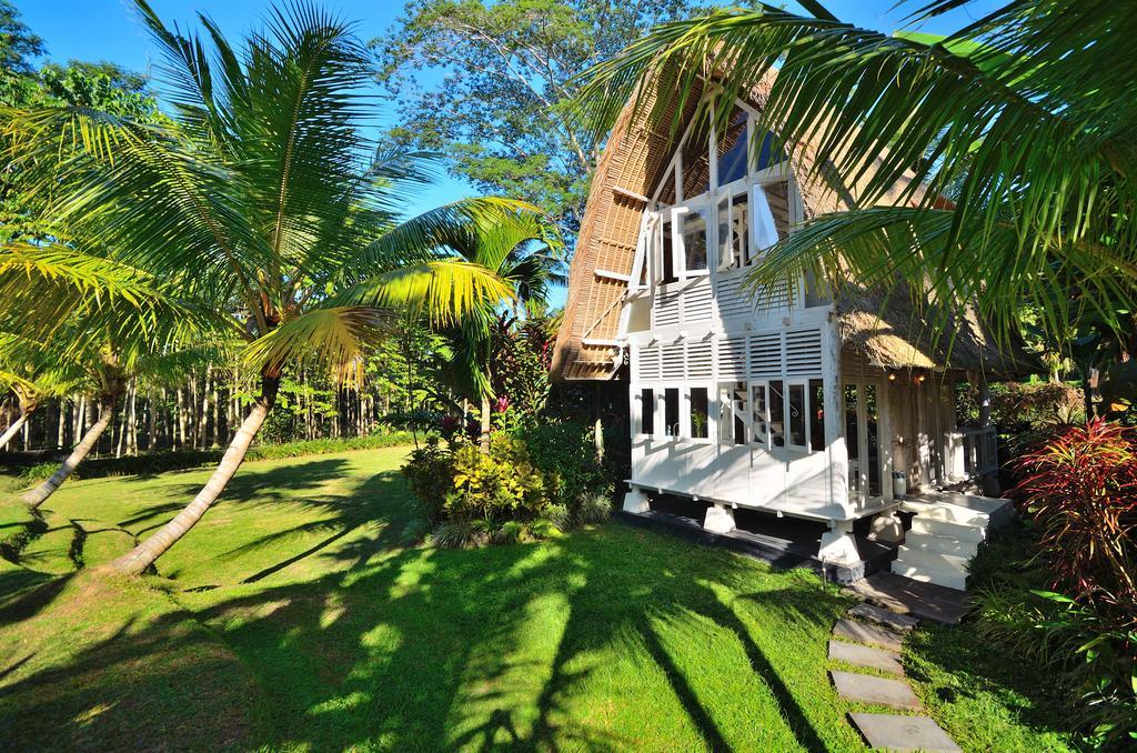 Jendela Di Bali Villa Tegallalang  Pokoj fotografie