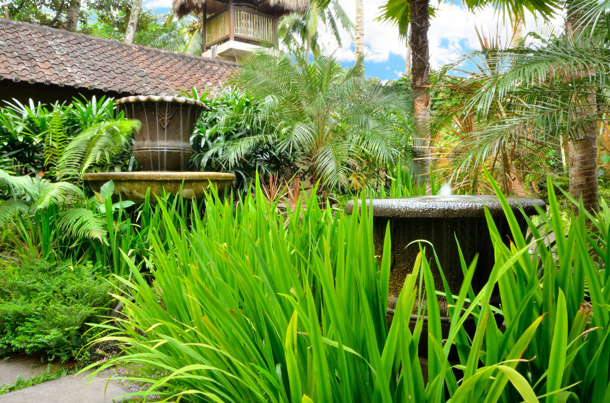 Jendela Di Bali Villa Tegallalang  Exteriér fotografie