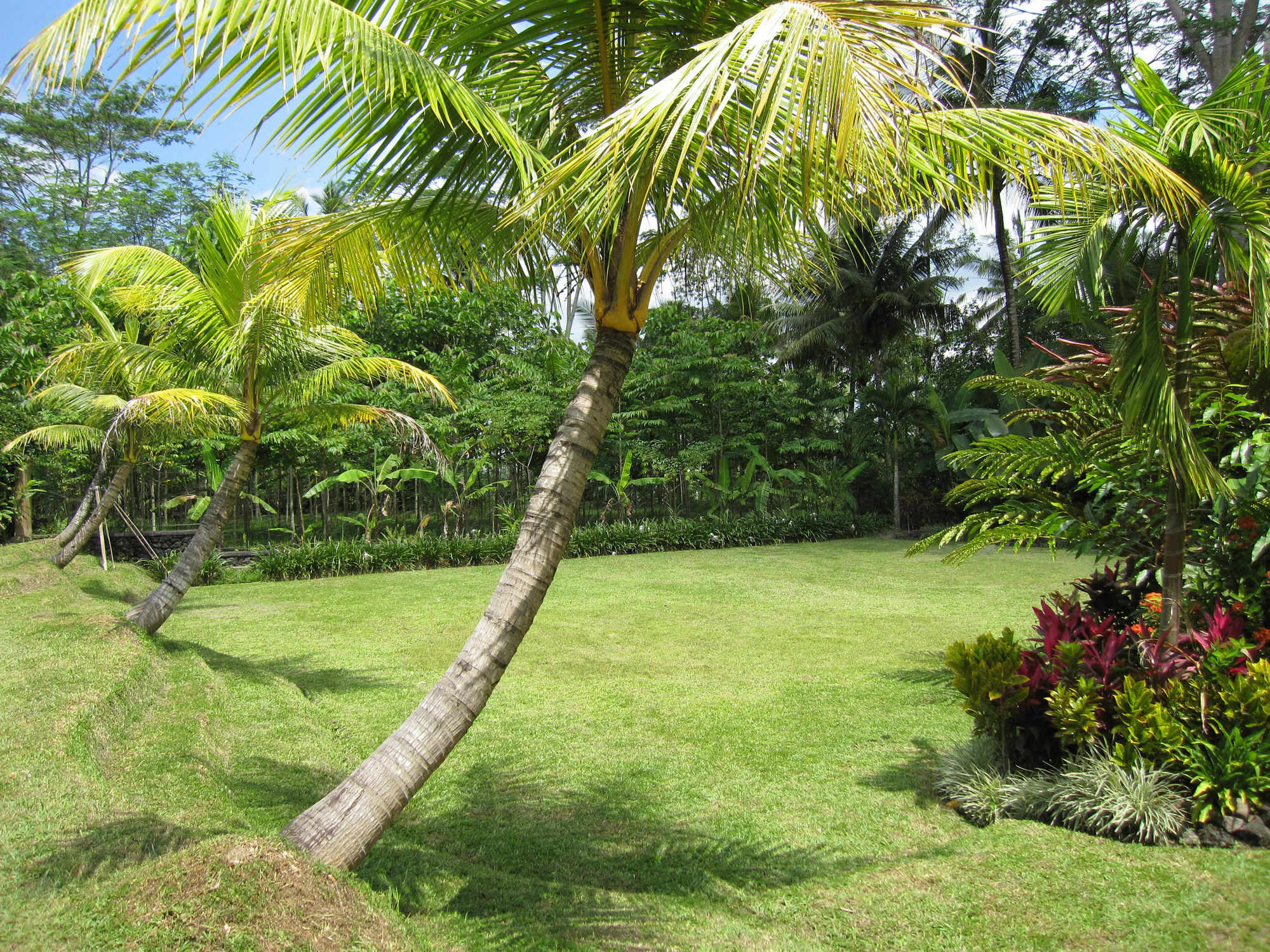 Jendela Di Bali Villa Tegallalang  Exteriér fotografie