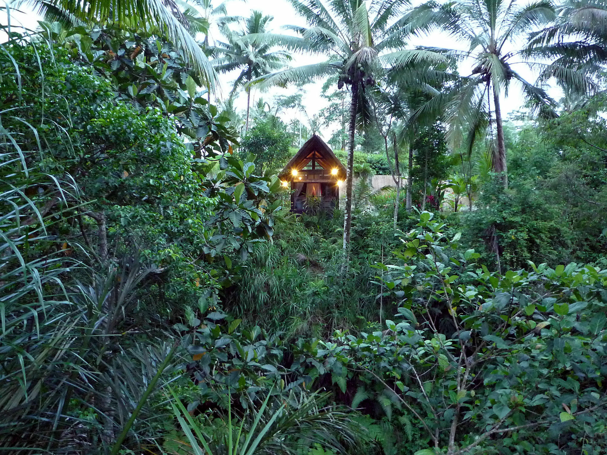 Jendela Di Bali Villa Tegallalang  Exteriér fotografie